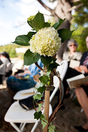 0367_Berry_3664