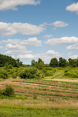 0008_Bagley_4151