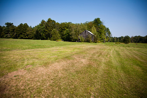 0012_Dapkiewicz_2654